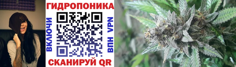 Бошки марихуана планчик  кракен онион  Шарья 